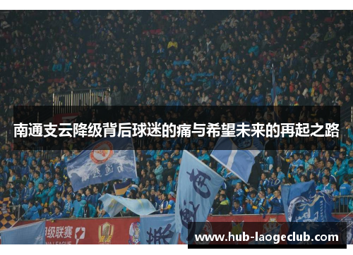 南通支云降级背后球迷的痛与希望未来的再起之路