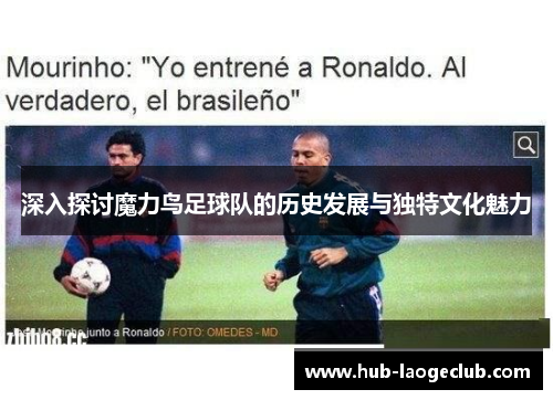 深入探讨魔力鸟足球队的历史发展与独特文化魅力