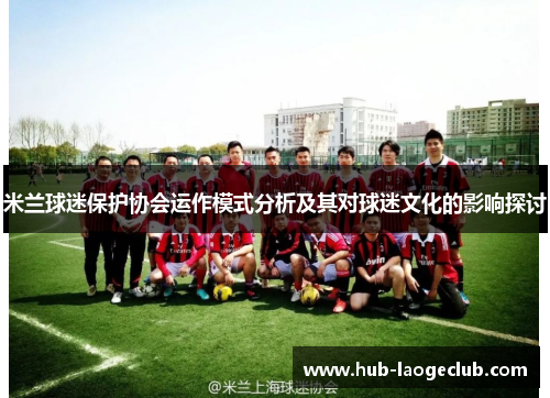 米兰球迷保护协会运作模式分析及其对球迷文化的影响探讨