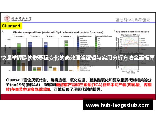 快速掌握欧协联赛程变化的高效理解逻辑与实用分析方法全面指南 快速掌握欧协联赛程变化的高效理解逻辑与实用分析方法全面指南